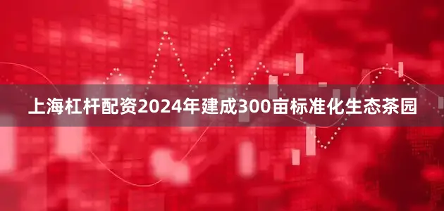 上海杠杆配资2024年建成300亩标准化生态茶园