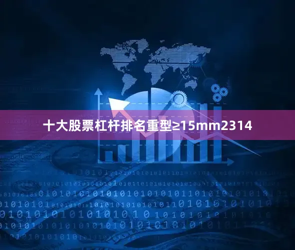 十大股票杠杆排名重型≥15mm2314